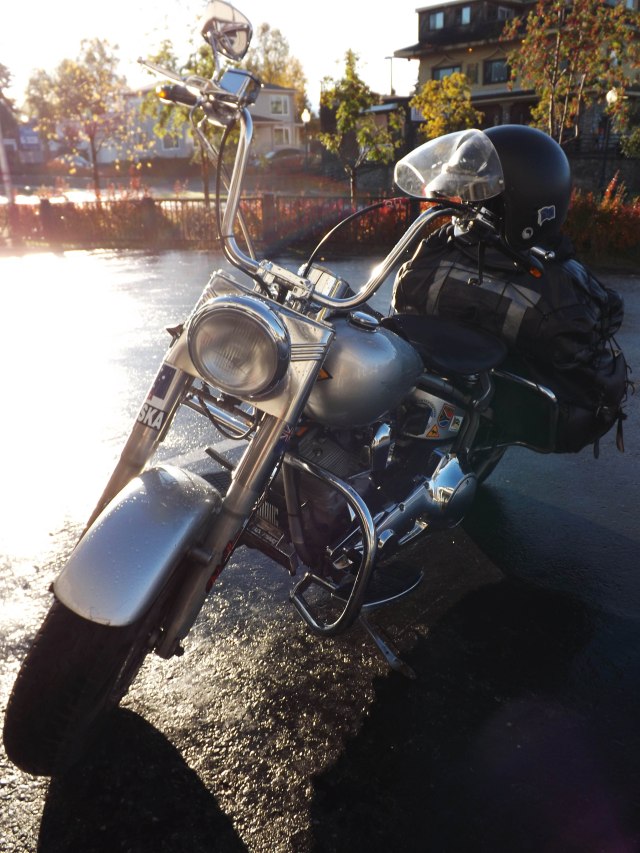 The bike - 1990 Fat Boy