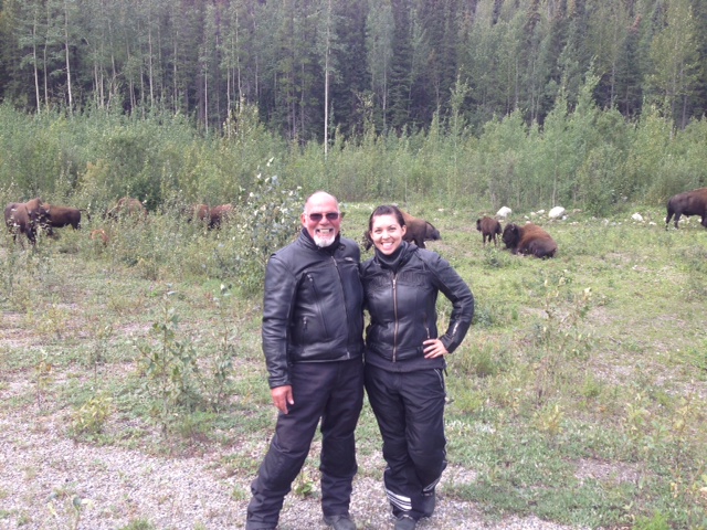 Barry's new pet Buffalo