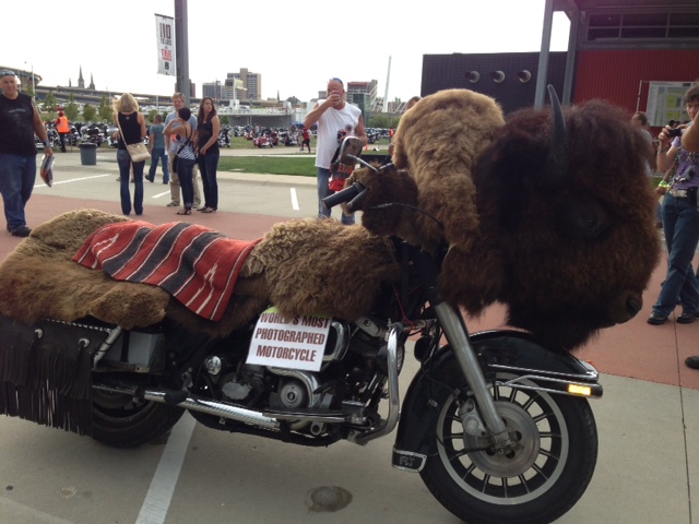 Buffalo bike...if you hit one jut right this is the result....