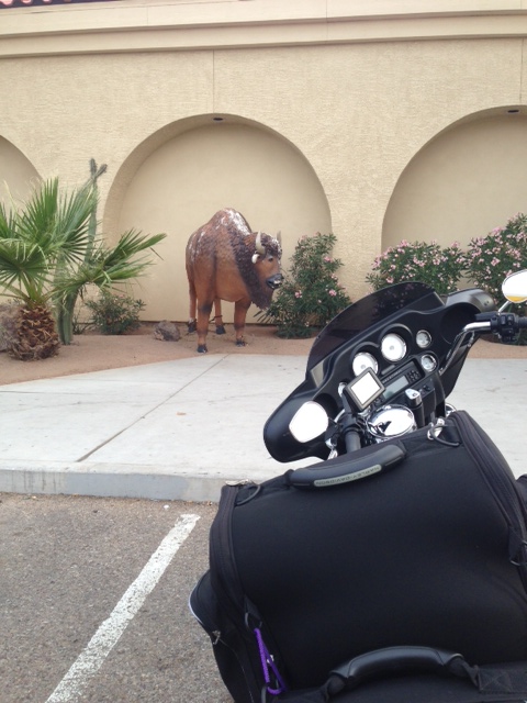 Buffalo off the highway? 